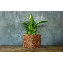 Luksusowa donica marmurowa 15x15x15 cm Marbi - Green 2 | Włoski design