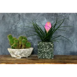 Donica z marmuru kwadratowa 15x15x15 cm Marbi - Green 1 | Ręcznie robiona