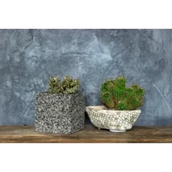 Dekoracyjna donica z kamienia Marbi - Gray 1 | 15x15x15 cm, ręcznie robiona marmurowa