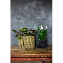 Czarna donica z kamienia 15x15x15 cm Marbi - Black 1 | Elegancja i trwałość