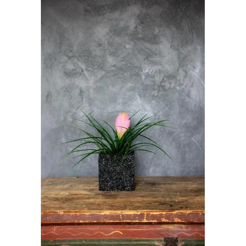 Czarna i zielona donica kamienna 15x15x15 cm Marbi - Black & Green | Styl, trwałość i luksus