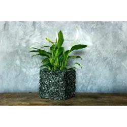 Czarna i zielona donica kamienna 15x15x15 cm Marbi - Black & Green | Styl, trwałość i luksus