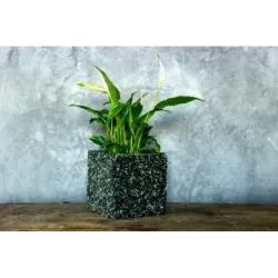Czarna i zielona donica kamienna 15x15x15 cm Marbi - Black & Green | Styl, trwałość i luksus