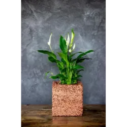 Miedziana donica kamienna 15x15x15 cm Marbi - Copper | Unikalny design i elegancja