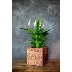 Miedziana donica kamienna 15x15x15 cm Marbi - Copper | Unikalny design i elegancja