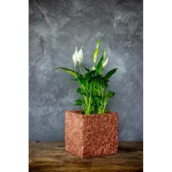 Miedziana donica kamienna 15x15x15 cm Marbi - Copper | Unikalny design i elegancja
