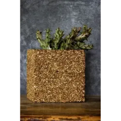 Złota donica kamienna 15x15x15 cm Marbi - Gold | Luksus i elegancja w Twoim wnętrzu
