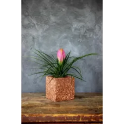 Srebrna donica kamienna 15x15x15 cm Marbi - Silver | Elegancja i nowoczesność