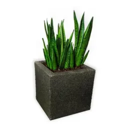 Złota donica nowoczesna 30x30x30 cm Modern - Gold 1 | Elegancja i trwałość w jednym