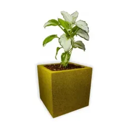 Żółta donica kwadratowa duża 50x50x50 cm Modern – Yellow D2 | Nowoczesna donica