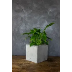 Donica betonowa kwadratowa szara 15x15x15 cm – Dodo Square Grey | Ręcznie wykonana