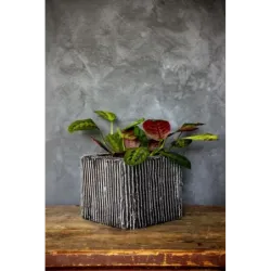 Designerska donica betonowa 26x26x20 cm Lindas - Silver S | Unikalny styl i trwałość