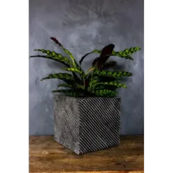 Srebrno-czarna donica nowoczesna 30x30x30 cm Meggi - Silver | Styl i elegancja w jednym