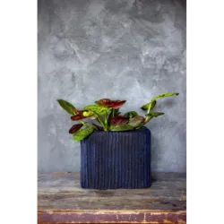 Niebieska donica designerska 26x26x20 cm Lindas - Blue | Stylowy akcent do wnętrz i tarasów