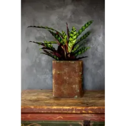 Donica corten 27x27x30 cm Kortes - Blue L | Industrialny design i surowy styl