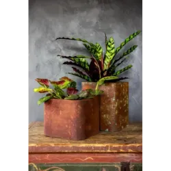 Loftowa donica 25x25x21 cm Kortes - Rust S | Surowy design i wyjątkowy styl