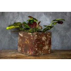 Industrialna donica betonowa 25x25x21 cm Kortes - Flesh S | Unikalny design i elegancja
