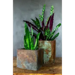 Donica cortenowa z czaszką 27x27x30 cm – loftowa dekoracja z efektem patyny