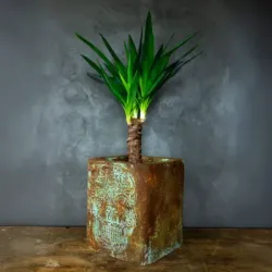 Donica cortenowa z czaszką 27x27x30 cm – loftowa dekoracja z efektem patyny
