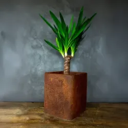 Donica cortenowa z czaszką ciemna 27x27x30 cm – industrialna dekoracja w stylu loft