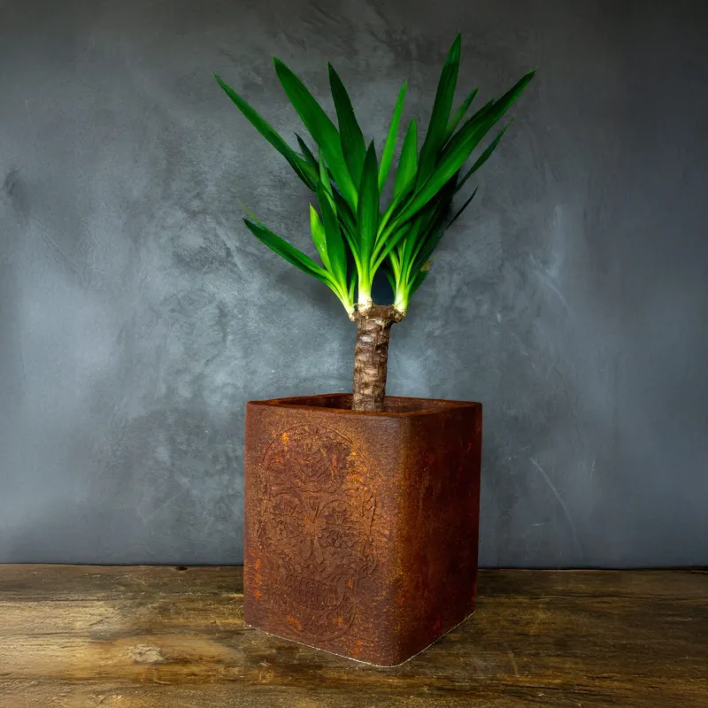 Donica cortenowa z czaszką ciemna 27x27x30 cm – industrialna dekoracja w stylu loft