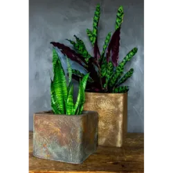 Donica cortenowa z ornamentem 25x25x21 cm – dekoracyjna donica w stylu loft