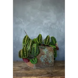 Osłonka na doniczkę 25x25x21 cm z ornamentem w stylu loft