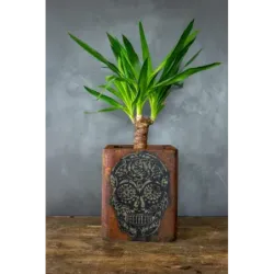 Stylowa osłonka na doniczkę z motywem czaszki 3D, 25x25x30 cm – ręczne wykonanie