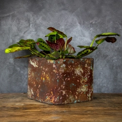 Industrialna donica betonowa 25x25x21 cm Kortes - Flesh S | Unikalny design i elegancja