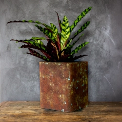 Donica corten 27x27x30 cm Kortes - Blue L | Industrialny design i surowy styl