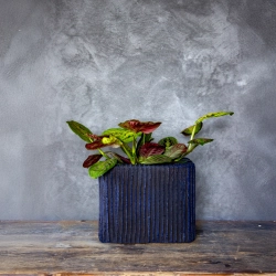 Niebieska donica designerska 26x26x20 cm Lindas - Blue | Stylowy akcent do wnętrz i tarasów