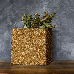 Złota donica kamienna 15x15x15 cm Marbi - Gold | Luksus i elegancja w Twoim wnętrzu