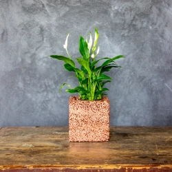 Miedziana donica kamienna 15x15x15 cm Marbi - Copper | Unikalny design i elegancja