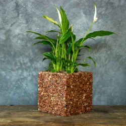 Brązowa donica kamienna 15x15x15 cm Marbi - Bronze | Elegancja na lata