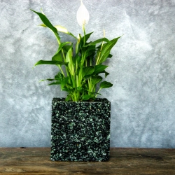 Czarna i zielona donica kamienna 15x15x15 cm Marbi - Black & Green | Styl, trwałość i luksus