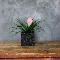 Czarna donica z kamienia 15x15x15 cm Marbi - Black 1 | Elegancja i trwałość