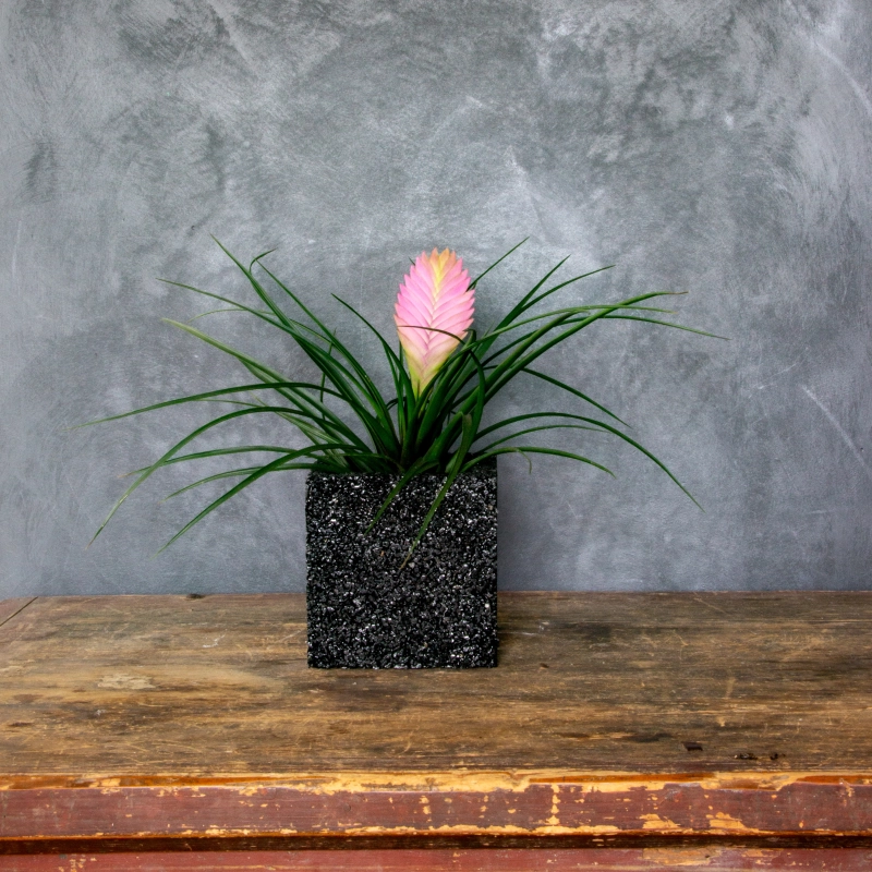 Czarna donica z kamienia 15x15x15 cm Marbi - Black 1 | Elegancja i trwałość