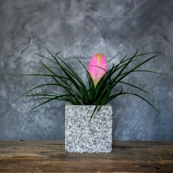 Szara donica z kamienia Marbi - Gray 2 | 15x15x15 cm, marmurowa ręcznie robiona