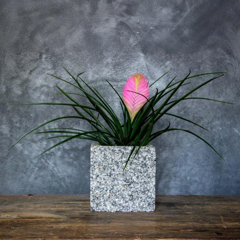 Szara donica z kamienia Marbi - Gray 2 | 15x15x15 cm, marmurowa ręcznie robiona