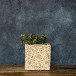 Donica Kamienna z Marmuru Marbi - Creamy | 15x15x15 cm, ręcznie robiona