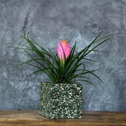 Donica z marmuru kwadratowa 15x15x15 cm Marbi - Green 1 | Ręcznie robiona