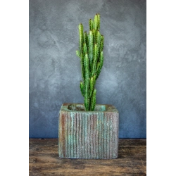 Doniczka loft w paski 25×25×21 cm – Ferro Corteza M | Art Con Design