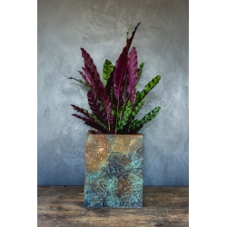 Donica loft z mandalą 25×25×30 cm – Ferro Flora LH | Art Con Design