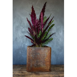 Osłonka na doniczkę z ornamentem 30 × 30 × 30 cm – rustykalna, ręcznie malowana, efekt kortenu