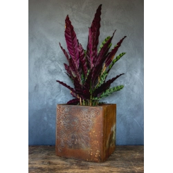 Osłonka na doniczkę z ornamentem 30 × 30 × 30 cm – rustykalna, ręcznie malowana, efekt kortenu