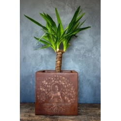 Osłonka na doniczkę z Buddą 30 x 30 x 30 cm – ręcznie malowana, rustykalna, efekt kortenu
