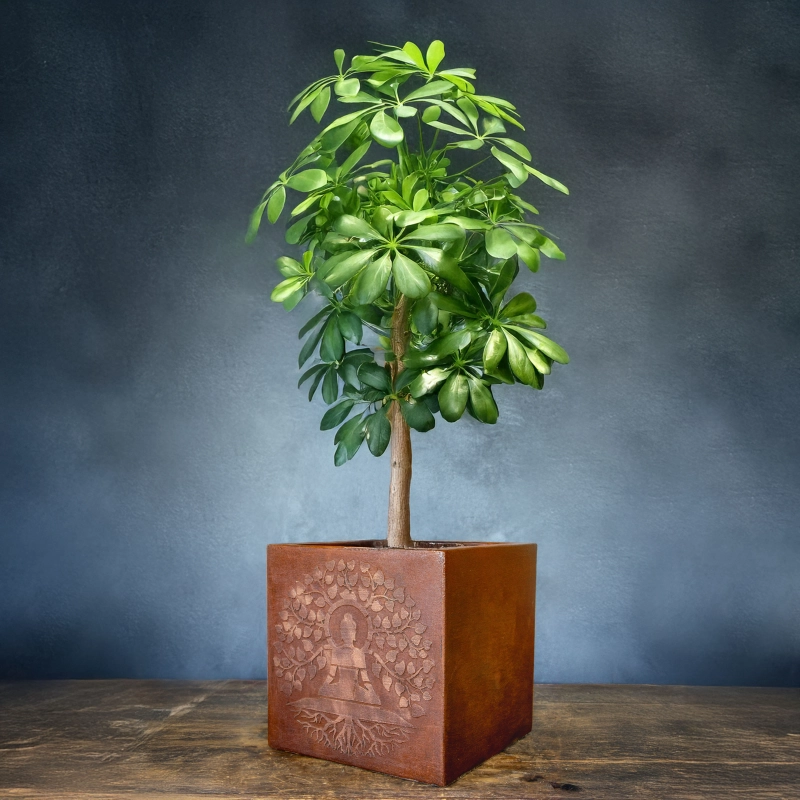 Osłonka na doniczkę z motywem Buddy pod drzewem Bodhi, efekt kortenu, ręcznie wykonana i malowana.