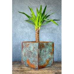 Donica loft z ornamentem 30×30×30 cm – Ferro Ornata Blue LS | Art Con Design