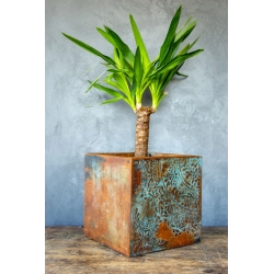 Donica loft z ornamentem 30×30×30 cm – Ferro Ornata Blue LS | Art Con Design