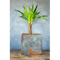 Donica loft z ornamentem 30×30×30 cm – Ferro Ornata Blue LS | Art Con Design